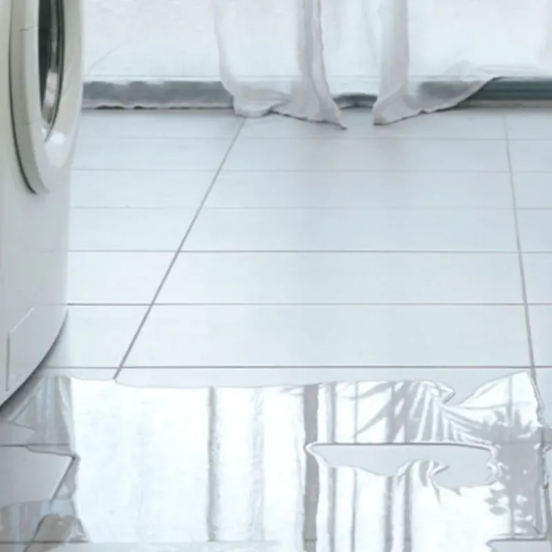 Appliance Leak Cleanup in Apison, TN