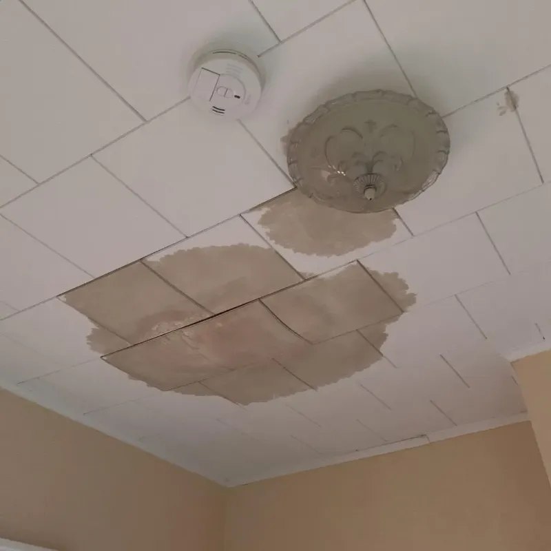 Ceiling Water Damage Repair in Apison, TN