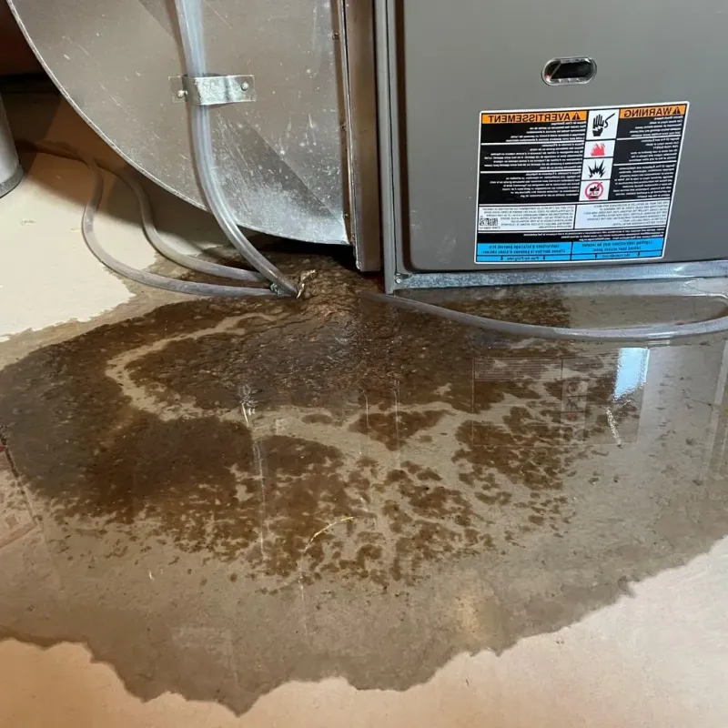 Pipe Burst and Leak Restoration in Apison, TN