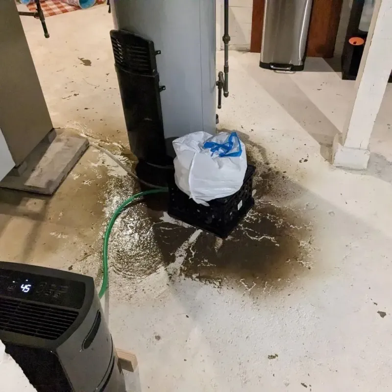 Sewage Backup Cleanup Service in Apison, TN